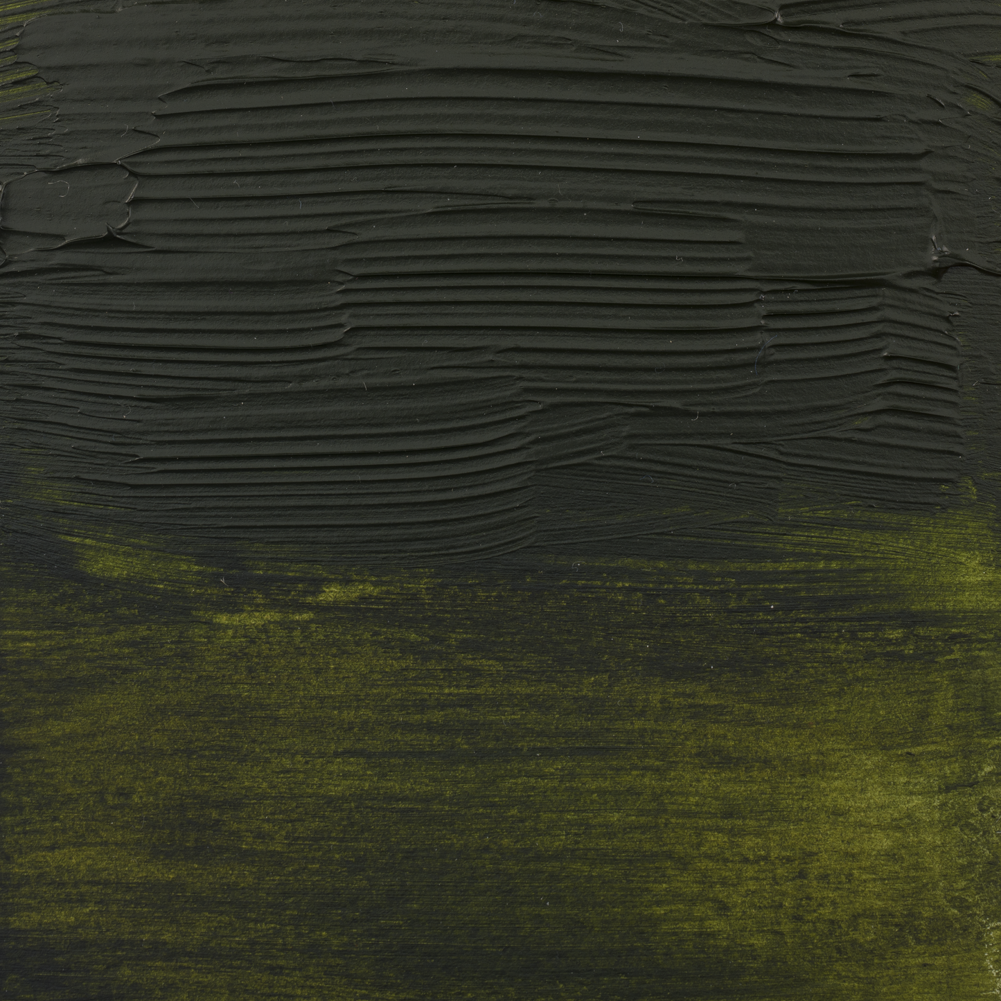 Amsterdam Expert Acrylic Paints : Olive Green 620